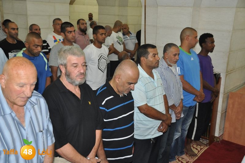 mohadaraa lud kaver 803 (3).JPG